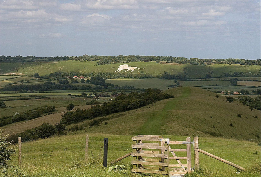 Did people in the Chilterns used to eat chalk?