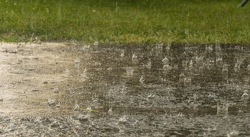 Petrichor