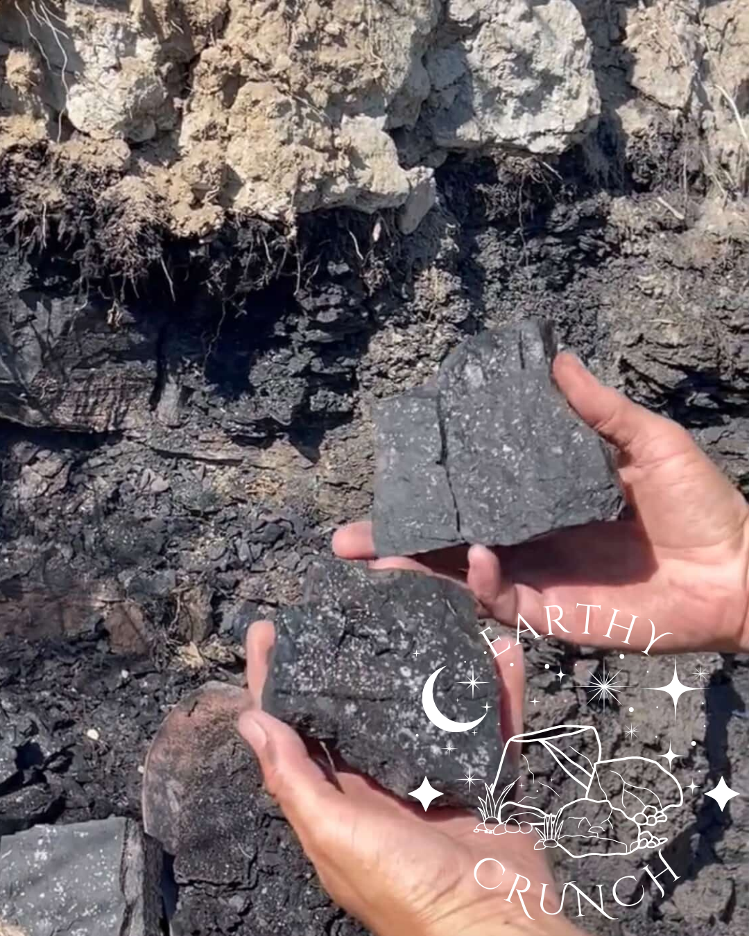 Montana Coal - Hand-foraged, Charcoal-like American clay - Coming Soon (June 2026)