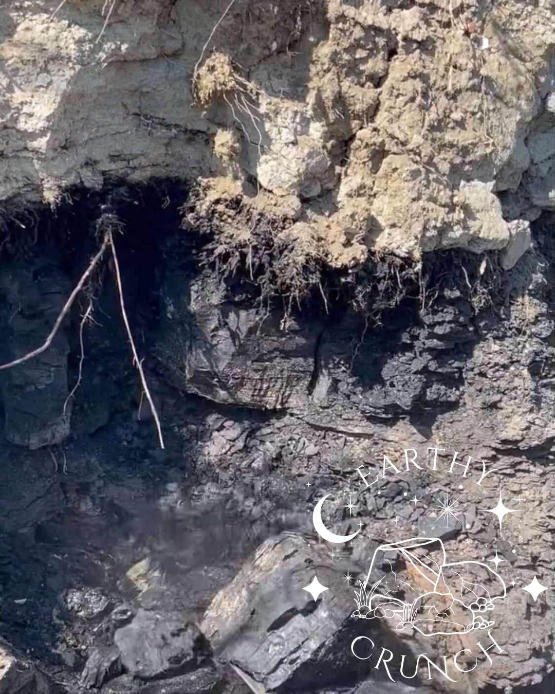 Montana Coal - Hand-foraged, Charcoal-like American clay - Coming Soon (June 2026)