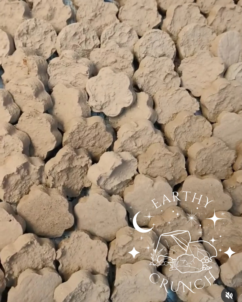 Cement Cookies - Cementy Indian Clay treats
