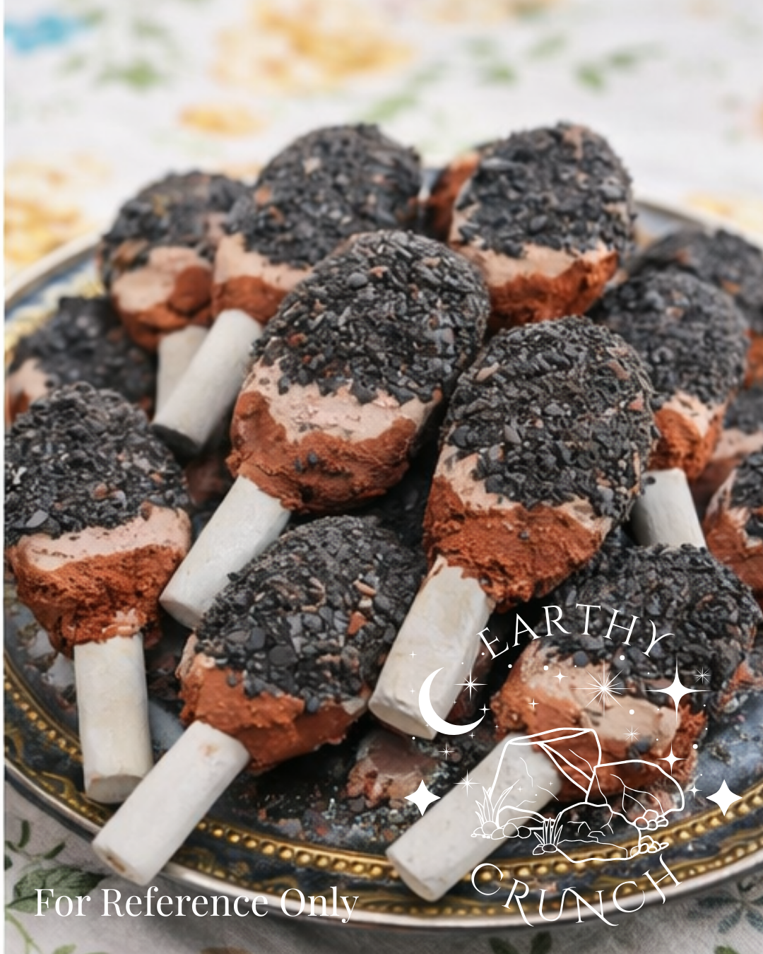 Galaxy Pops - Edible Clay treats for Pica/ Geophagia