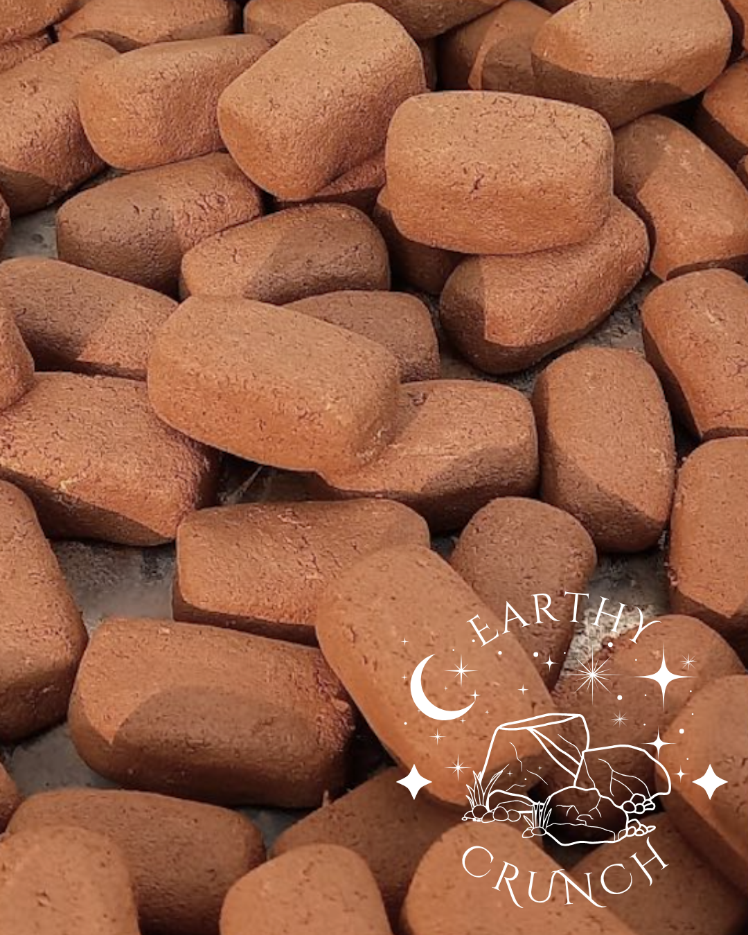 Terracotta Bricks (250g) - Edible clay treats for Pica