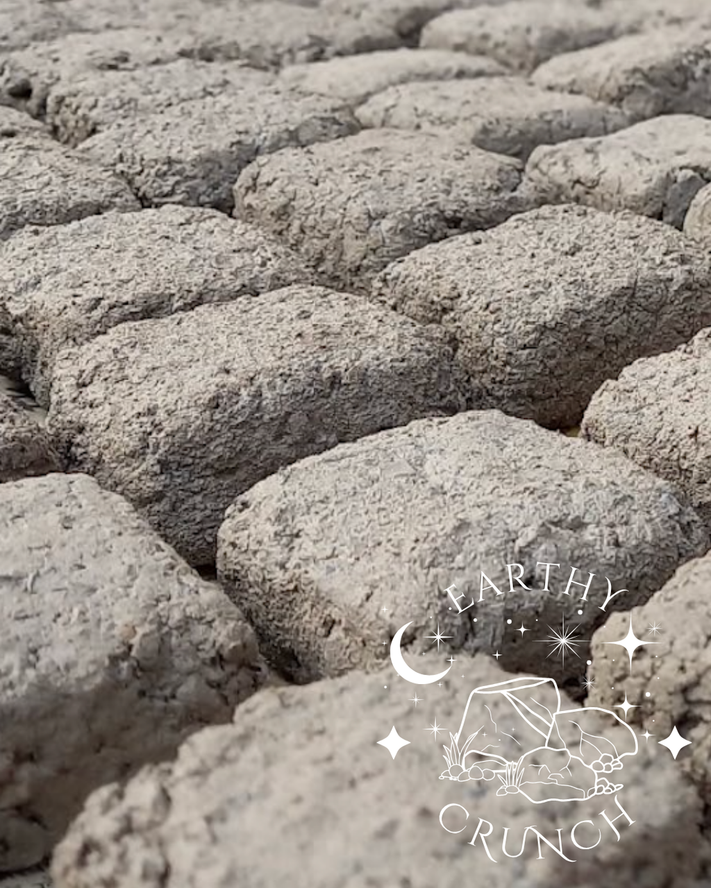 Mud Cakes - Bestselling Crunchy Crumbly Smoky Indian Clay Treats