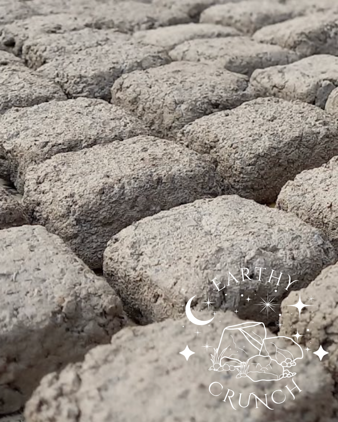 Mud Cakes - Bestselling Crunchy Crumbly Smoky Indian Clay Treats