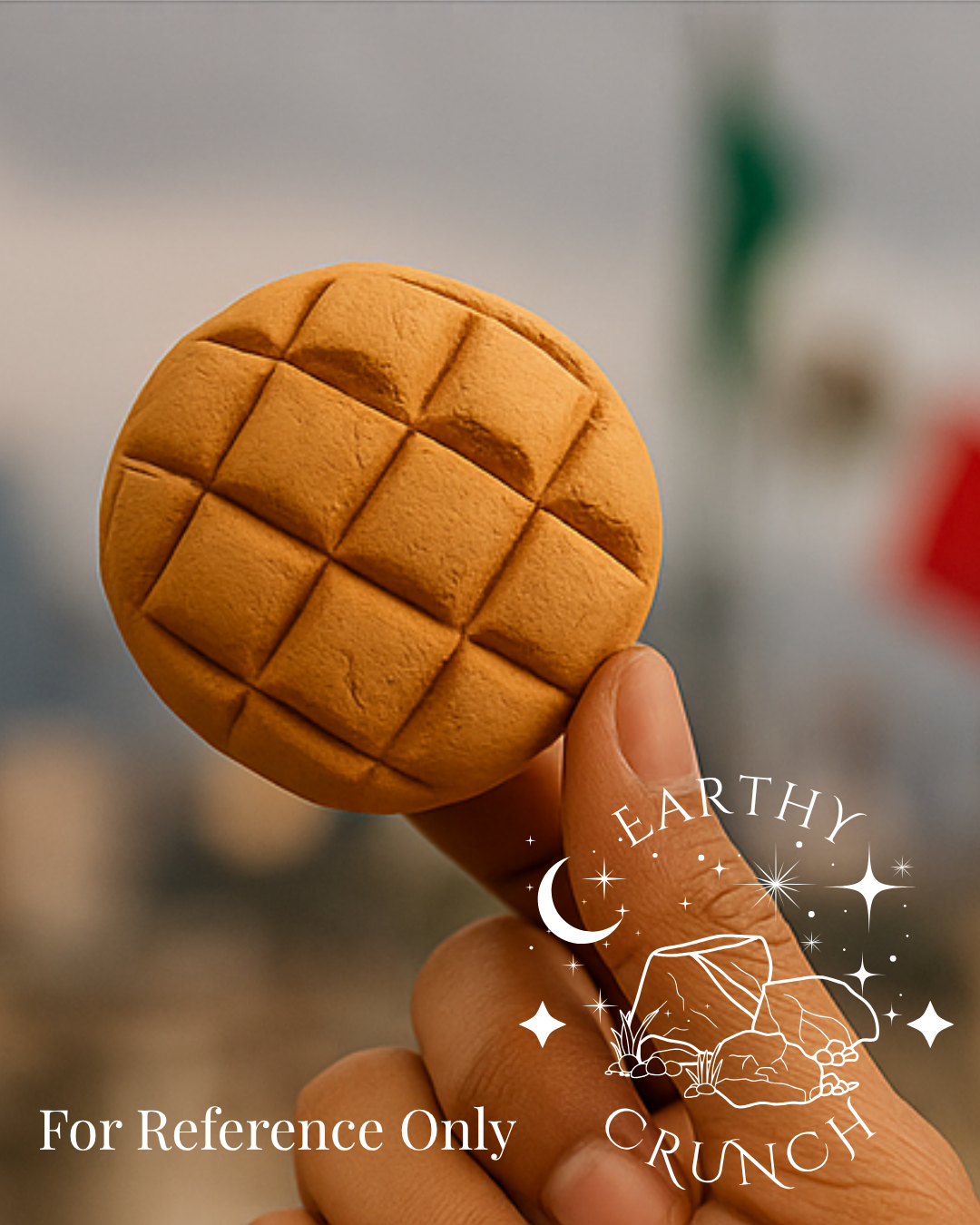 Barro Wafer  - Mexican terracotta (barro) clay treat for Pica/Geophagia