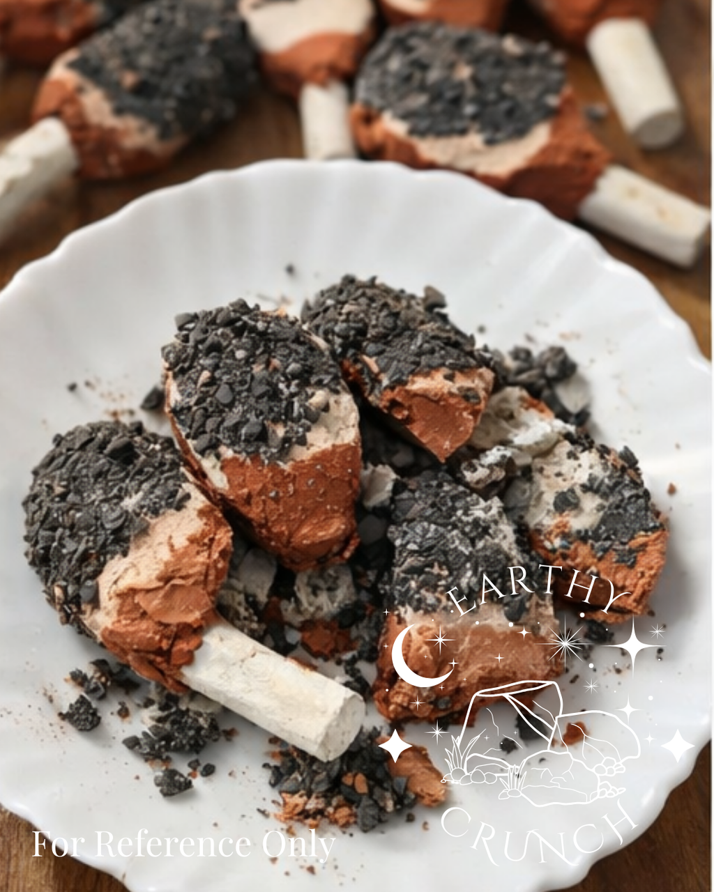 Galaxy Pops - Edible Clay treats for Pica/ Geophagia