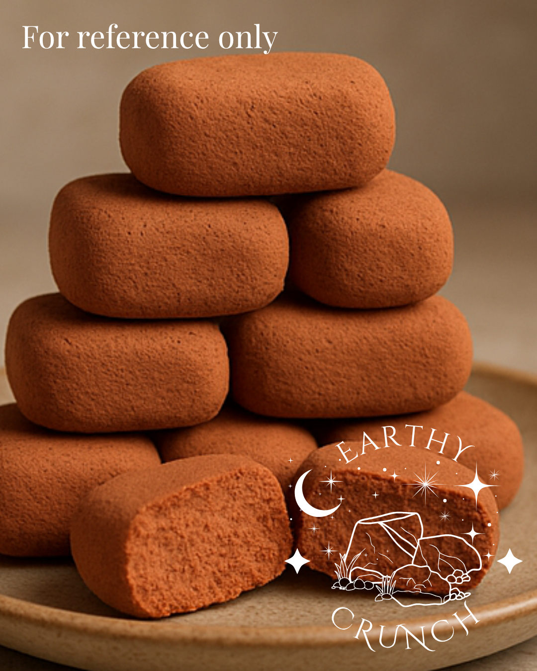 Terracotta Bricks (250g) - Edible clay treats for Pica