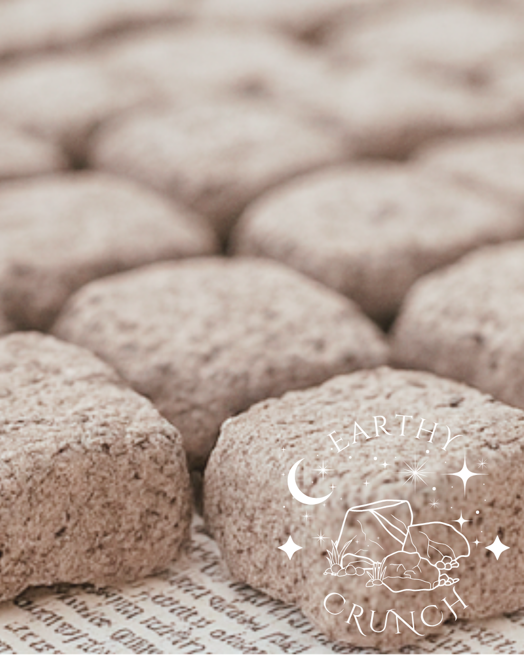 Mud Cakes - Bestselling Crunchy Crumbly Smoky Indian Clay Treats