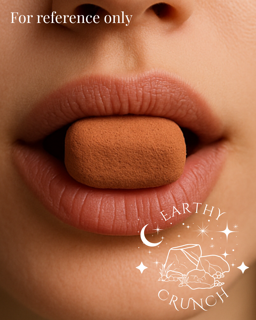 Terracotta Bricks (250g) - Edible clay treats for Pica