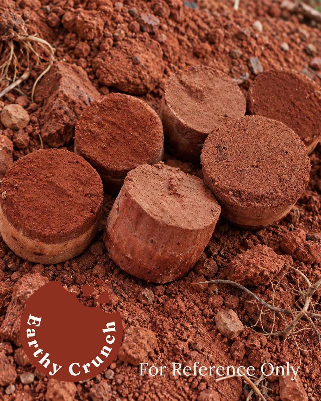 Mars Pucks - Very Earthy layered treats (Edible Clay Treats)