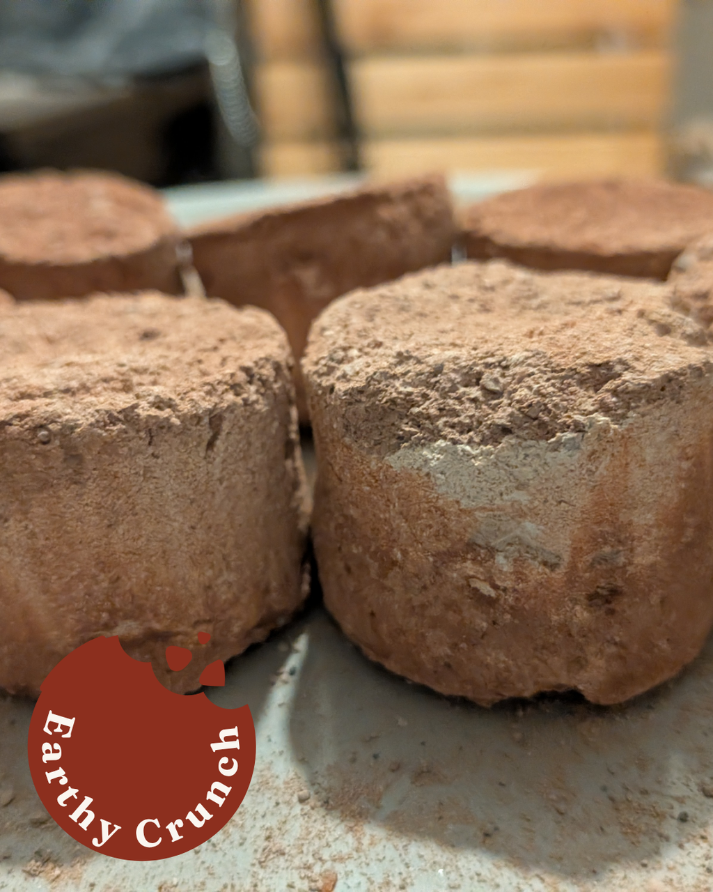 Mars-Pucks – Sehr erdige, geschichtete Leckerlis (Essbare Ton-Leckerlis bei Pica oder Geophagie)