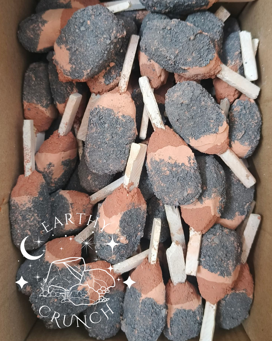 Chupetas Galaxy - Golosinas de arcilla comestibles para la Pica/Geofagia