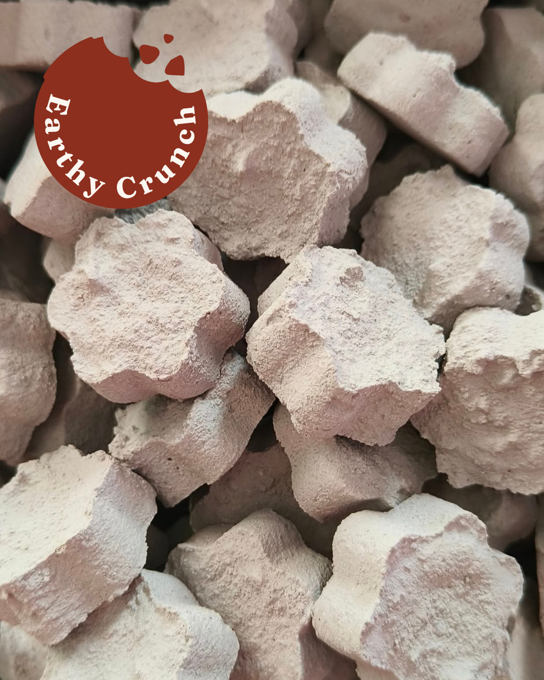 Cement Cookies - Friandises indiennes à base d'argile de ciment