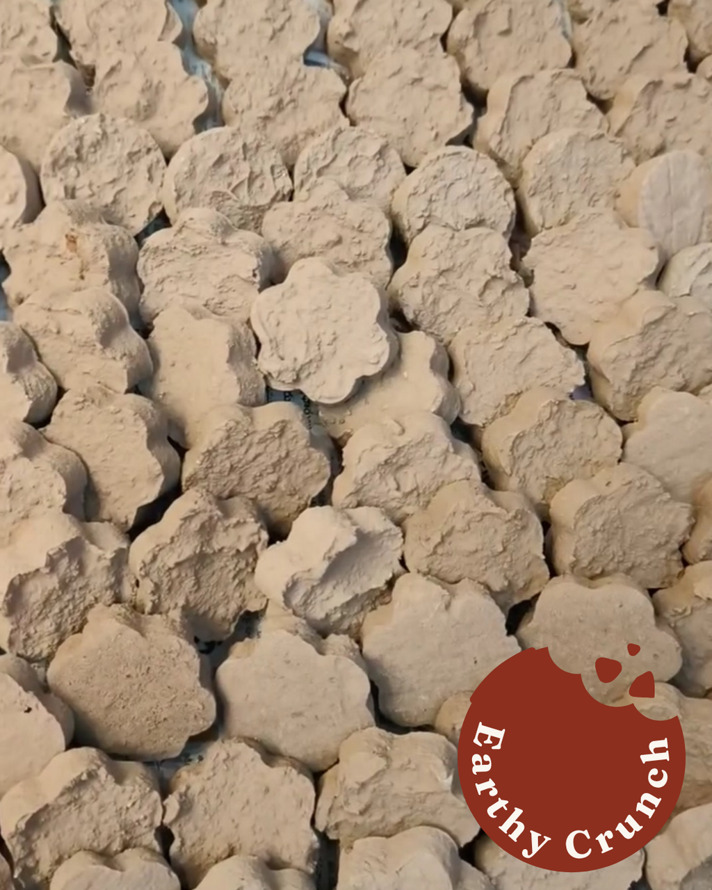 Cement Cookies - Friandises indiennes à base d'argile de ciment