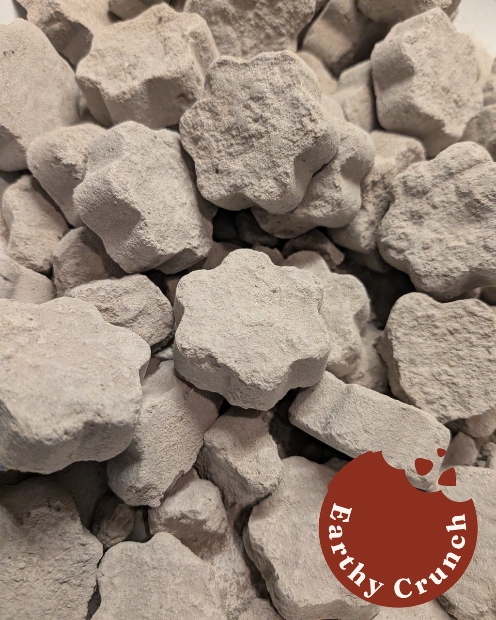 Cement Cookies - Friandises indiennes à base d'argile de ciment