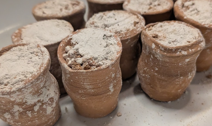 Rellenitos – Earthy Mini Mexican Terracotta Clay Pots filled with Caolin (Edible Terracotta)