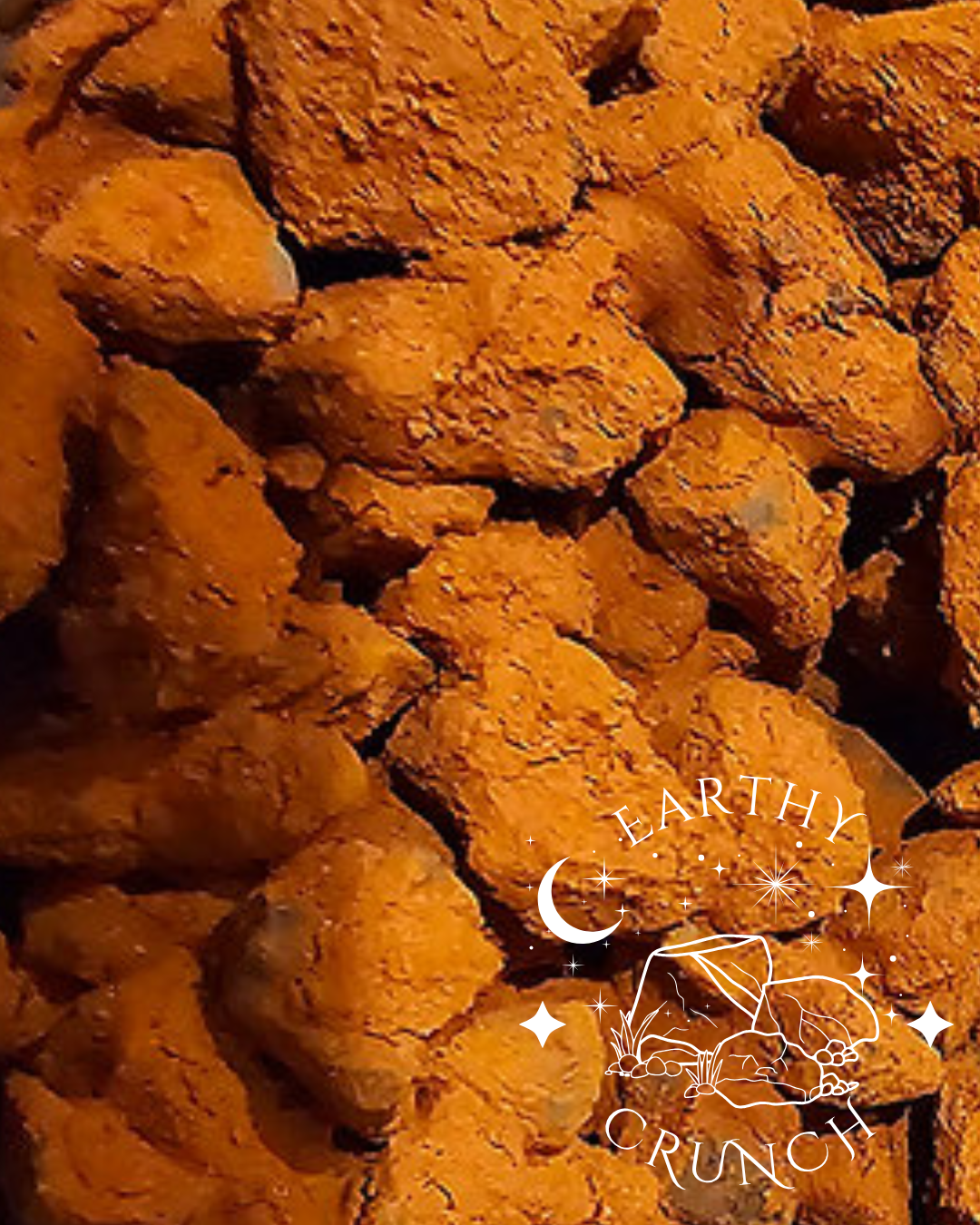 Terra Pakora - Dry fruit coated in Terracotta - Rich Smoky Indian Clay treats
