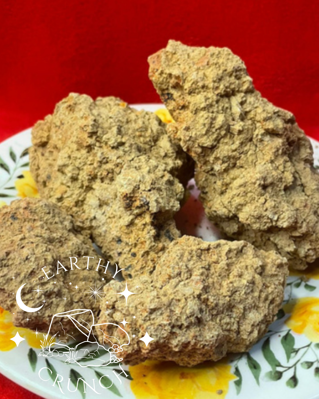 Terrón Galleta  - Tangy "Cookie" edible Latin dirt/clay