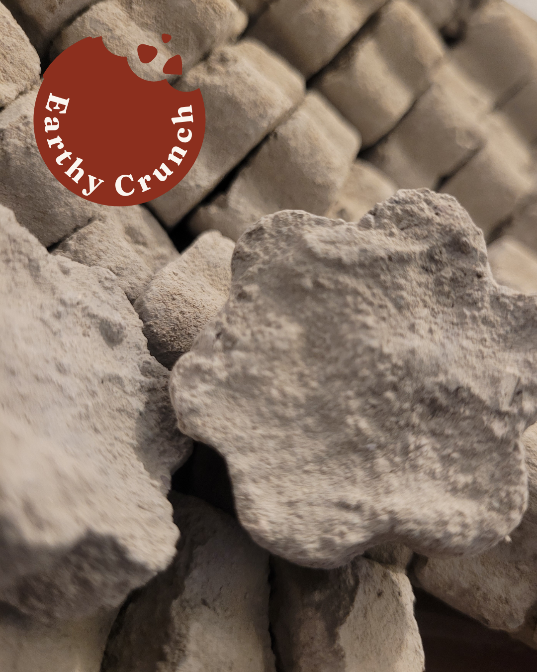 Cement Cookies - Friandises indiennes à base d'argile de ciment