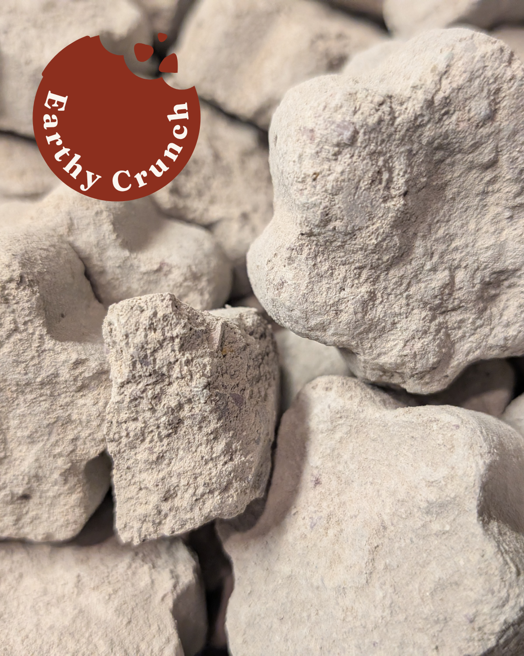 Cement Cookies - Friandises indiennes à base d'argile de ciment