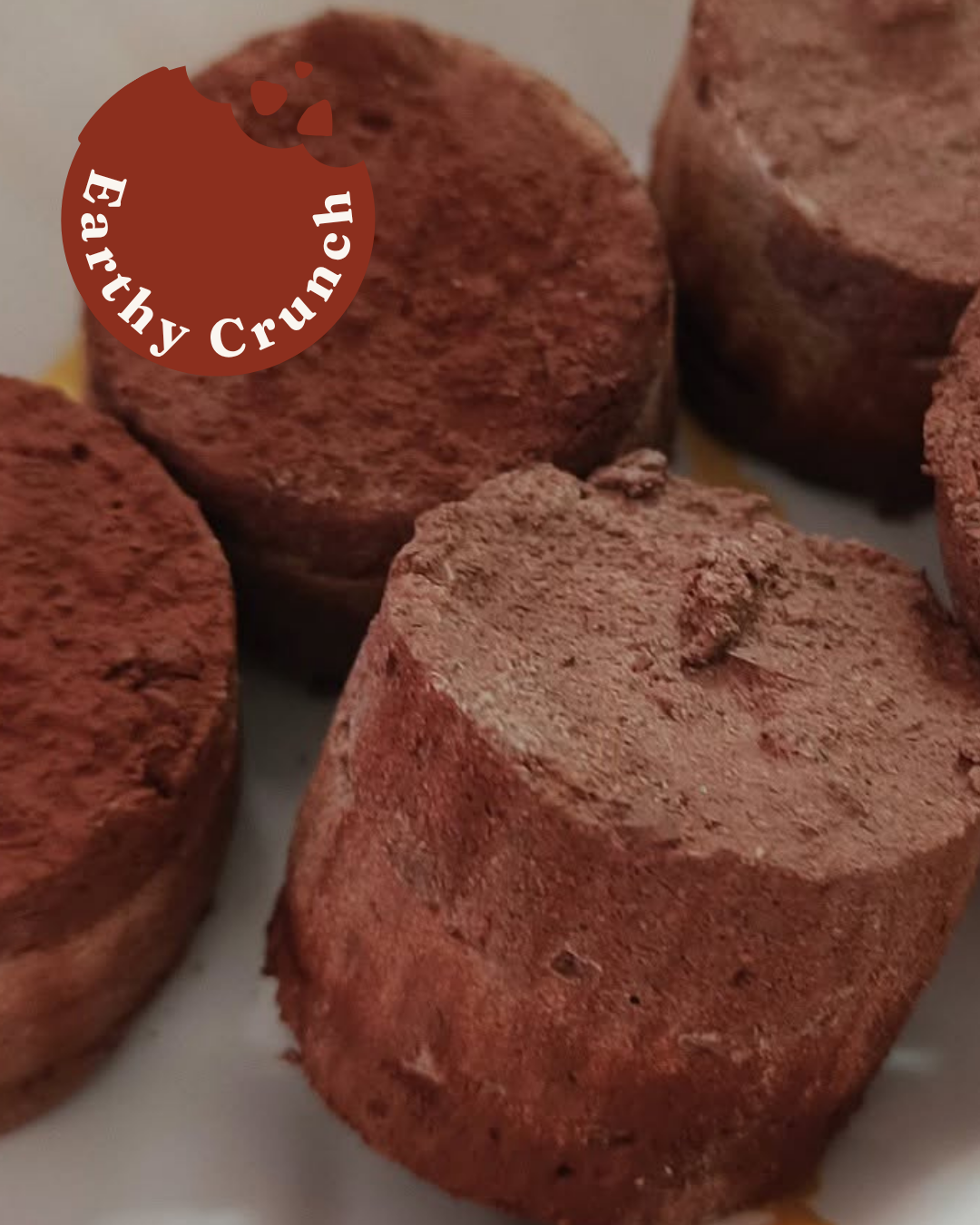 Mars Pucks - Very Earthy layered treats (Edible Clay Treats)