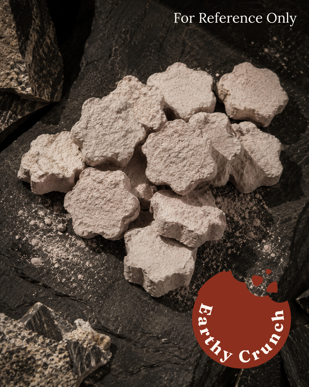 Cement Cookies - Friandises indiennes à base d'argile de ciment